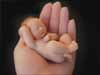 Geboortekaarten, een kleine pasgeboren baby in de hand