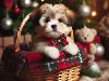 E-Cards met Honden: Lhasa Apso in Kerstsetting