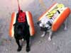 Humorkaarten echte hotdogs warm geklede honden, fun  e-card