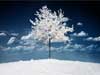 3D Kerstkaarten, witte kerst, een landschap met sneeuw effect en countdown