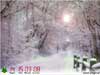 3D Kerstkaart: Sneeuwpad met HTML5 Sneeuweffect en Countdown