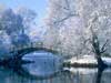 Kerstkaart: Besneeuwde Brug in Park