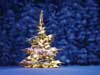 Kerstkaarten, een kerstkaart met een kerstboompje, een mooi 3D effect