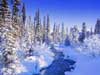 Kerstkaarten, kerstkaart natuur met een rivier en vallende sneeuw