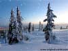 3D Kerstkaart: Panorama met Realistische Sneeuw