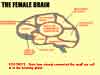 grappige sexy humor kaarten, het vrouwen brein