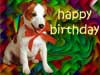 verjaardags kaart hondje