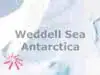 Weddel Sea