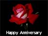 birthday cards red roses happy anniversary