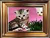 Cats Cards the Kitten Portrait e-card
