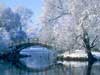 Christmas E-Cards, Christmas scene Snowwy Park with Bridge