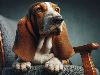 E-Cards with Dogs: The Brown Basset