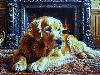 Dog Cards: Golden Retriever with Many Details