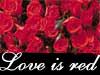 Flower ecards love is red