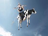 Funny E-Cards, Cow Riding in the Sky