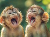 Funny E-Cards, See the monkeys babies laugh