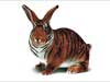 Funny E-cards, a Tiger Rabbit