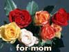 2025 Mothersday cards flowers for mom