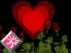 roses and love