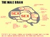 Adult E-cards ecards Brain