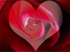 Valentine heart and rose card for lovers
